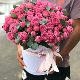 Роза пионовидная кустовая Мисти Баблс, Эвкалипт, Шляпная коробка