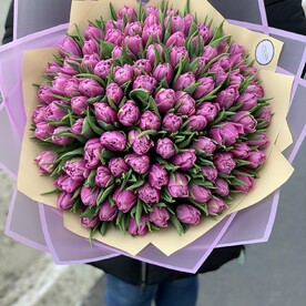 Тюльпан пионовидный, Пленка дизайнерская