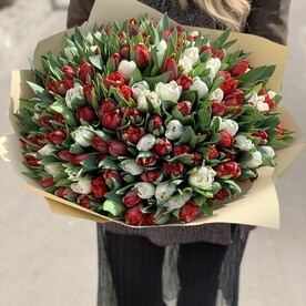 Тюльпан пионовидный, Пленка дизайнерская