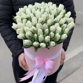 Тюльпаны