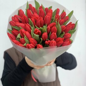 Красные тюльпаны