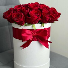Коробка из 25 красных роз с бантом