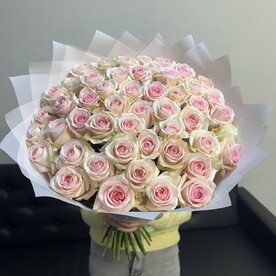 51 свит ревиваль 60 см