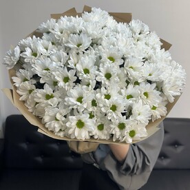 Хризантемы кустовые