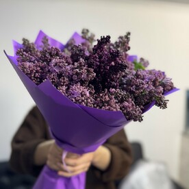 Сирень, Дизайнерская упаковка
