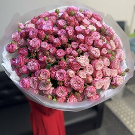 Кустовые розы Леди Бомбастик