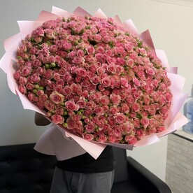 Кустовые розы Грация