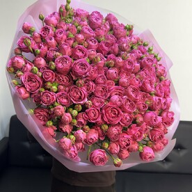 Кустовые Мисти Баблс 60 см