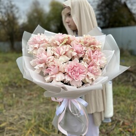 Роза пинк мондиаль, Пленка матовая, Тишью