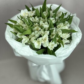 13 белых альстромерий