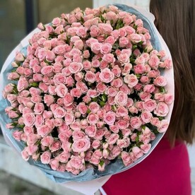 Хорошее настроение, Роза кустовая, Дизайнерская упаковка
