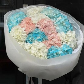 Микс из 13 разноцветных гортензий