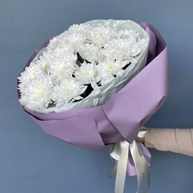 Хризантема кустовая, Пленка корейская