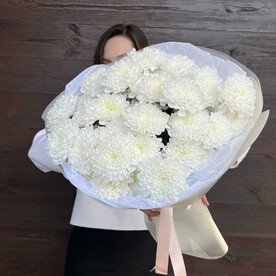 Нежные хризантемы в мутной пленке | Кустовая хризантема