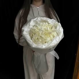 Лагурус, Гортензия, Авторская упаковка, Тишью