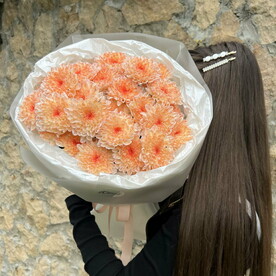 Хризантема кустовая, Тишью, Пленка матовая