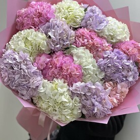 Гортензия, Дизайнерская упаковка