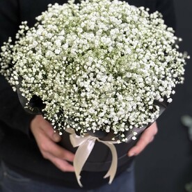 Гипсофила, Шляпная коробка, Флористическая губка