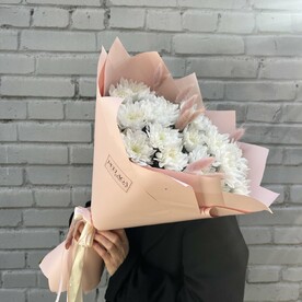 Хризантема белая