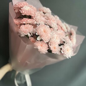 Нежные хризантемы