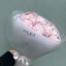 Пионы 💕