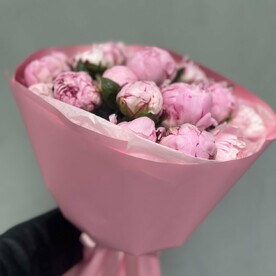 Пионы 🌸