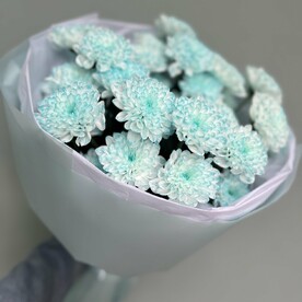Букет из 5 голубых хризантем 🩵
