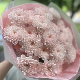 Букет из 5 кустов хризантем 💞 нежный