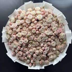 101 Кустовая роза пионовидная