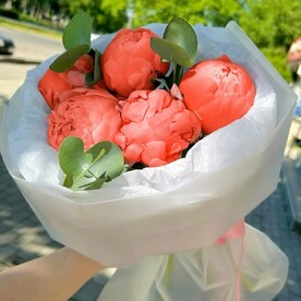 Букет пионов меняющих цвет