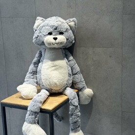 Кот длинные ноги номер 90