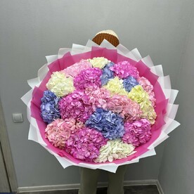Букет из 19 Гортензии Микс Колумбия
