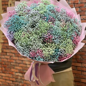 51 Гипсофила Радужная 😍