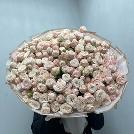 Кустовые Пионовидные Розы Бомбастик 51