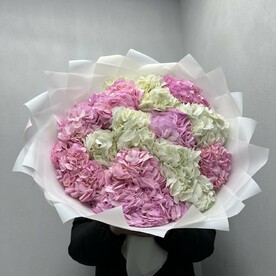 Букет из 15 Гортензии Микс