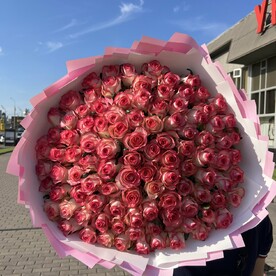 Роза джумилия, Дизайнерская упаковка