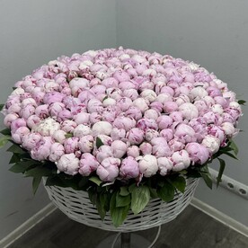 201 Пион в корзине 😍