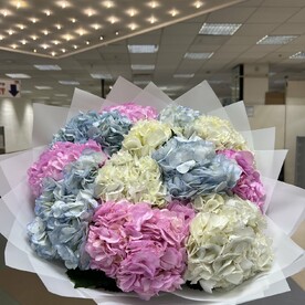 Гортензия, Дизайнерская упаковка