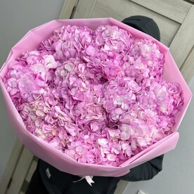 Букет из 15 Розовых Гортензий