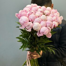 Букет из 29 пионов Сара Бернар 💕
