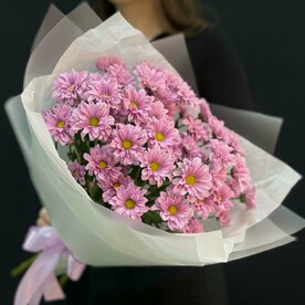 Букет комплимент из розовых ромашек (мб 088)