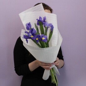 Ирисы, 7 штучек