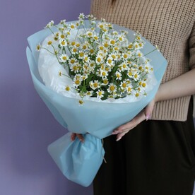Букет кустовых ромашек, 5 штук