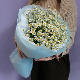 Букет кустовых ромашек, 11 штук