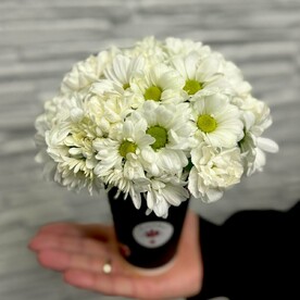 Хризантема кустовая, Стакан, Оазис