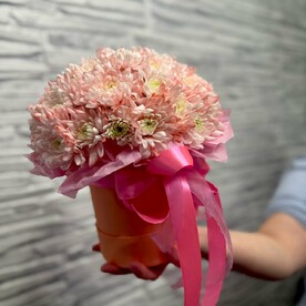 Хризантема кустовая, Шляпная коробка