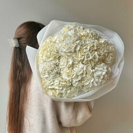 Гортензия, Дизайнерская упаковка