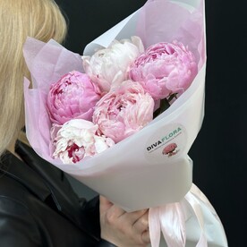 Пионы букет 5 шт «Идеальный бутон»