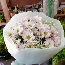 Бекет алиса