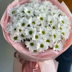 Хризантема кустовая, Упаковка